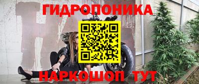прущие грибы Можга