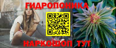 прущие грибы Можга