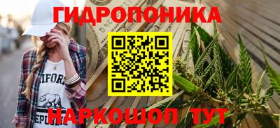 прущие грибы Можга