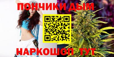 прущие грибы Можга